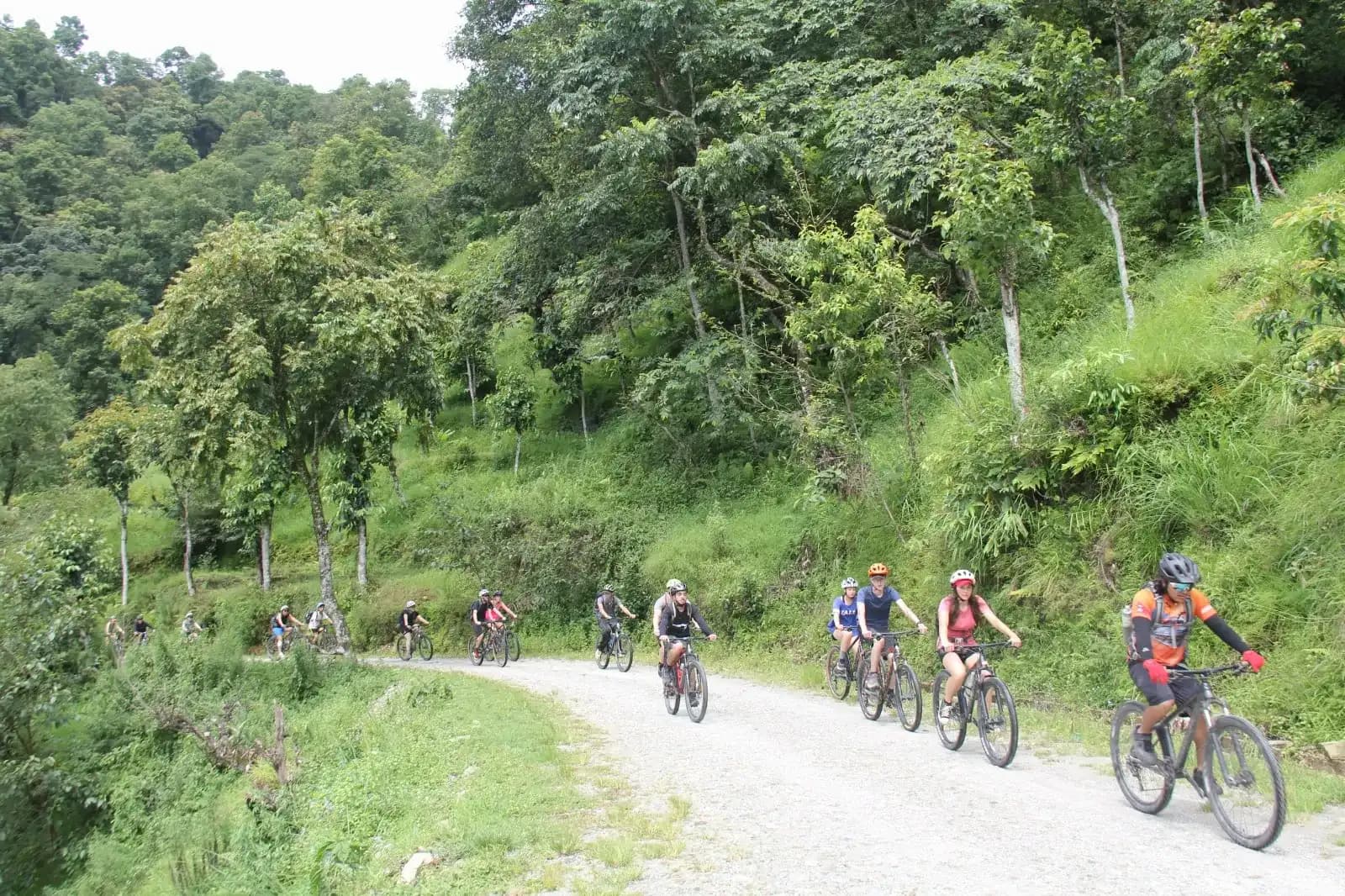 forestgravelroaddescent.webp