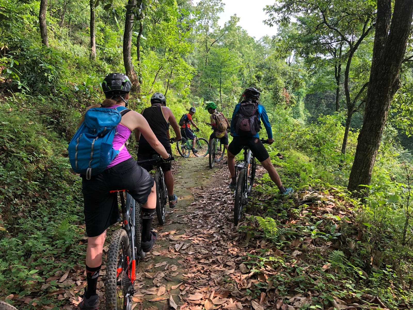 forestsingletrackgroupride.jpeg