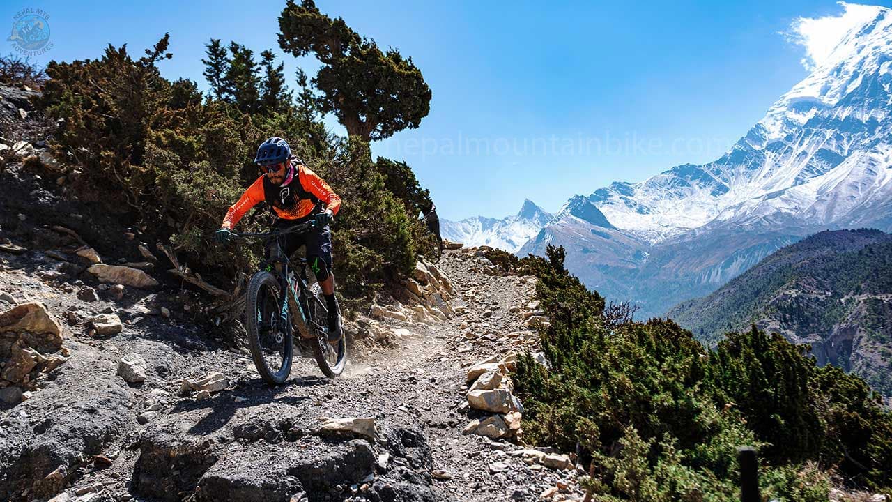 Downhill-Mtb-tour-package-Nepal.jpg