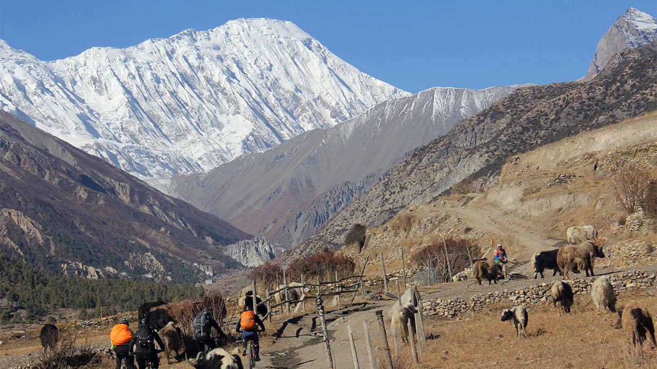 Mountain-bike-tilicho-lake-with-PMTBA.jpg