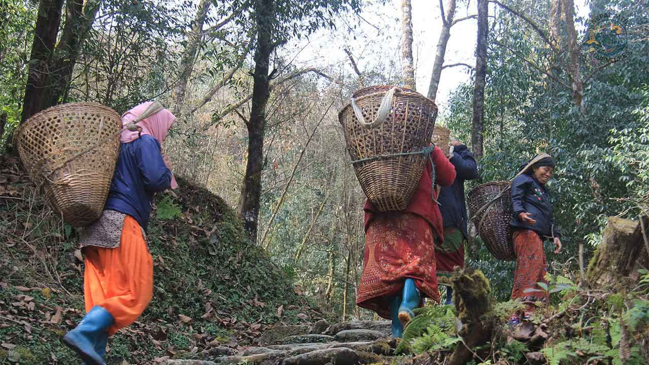 Cultural-Trek-Nepal.jpg