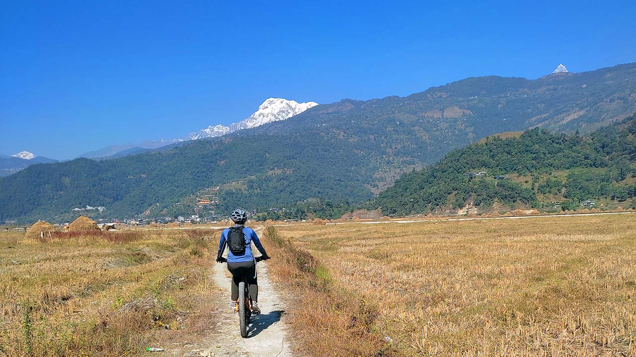 A mountain biker enjoys her ride through the paddy fields with the view of Dhaulagiri, Annapurna and Fishtail.