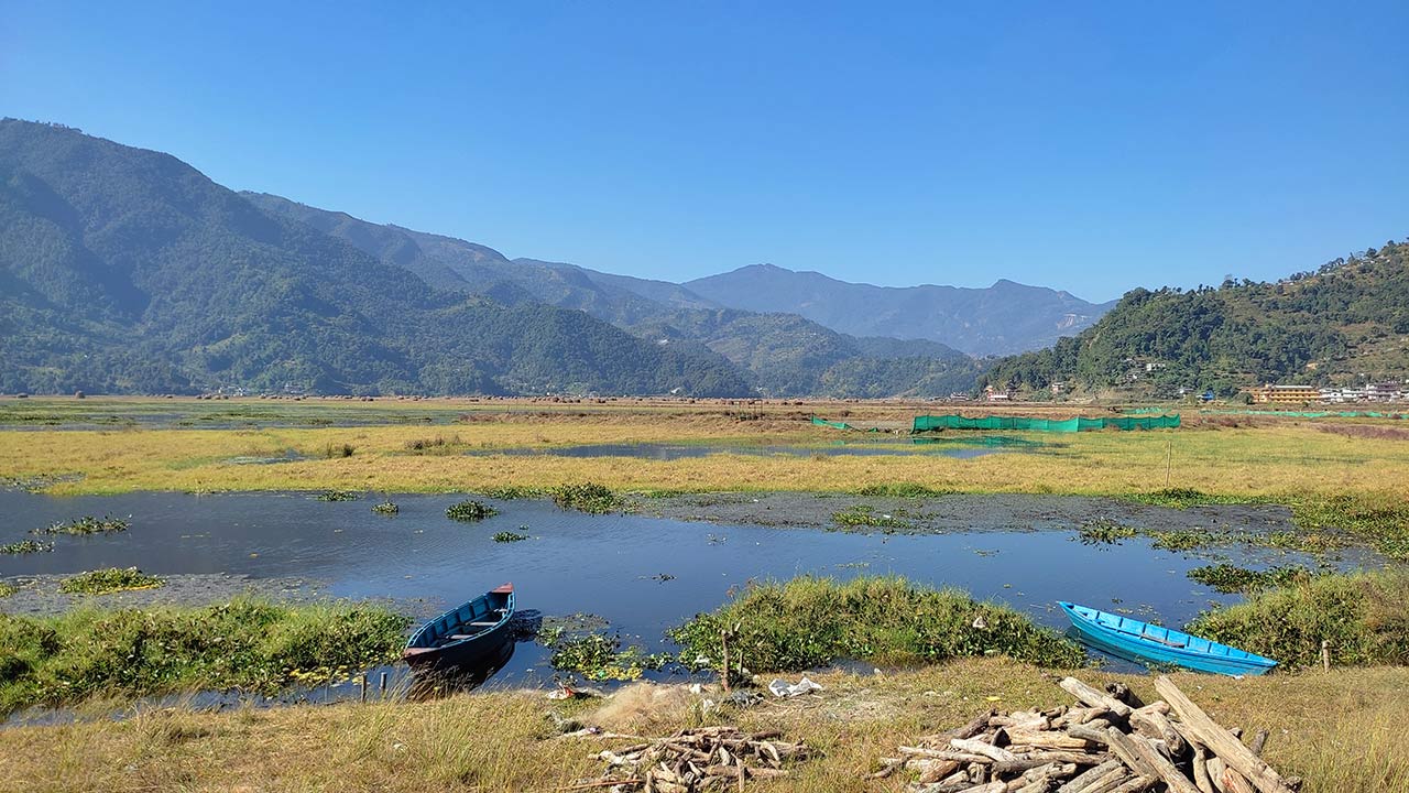 View of Pokhara's wetland along side to Fewa Lake.