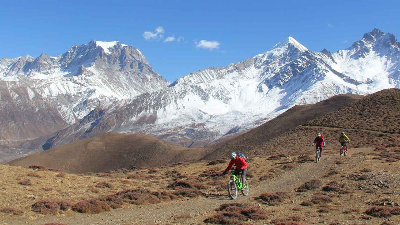 Lower Mustang Mountain Biking