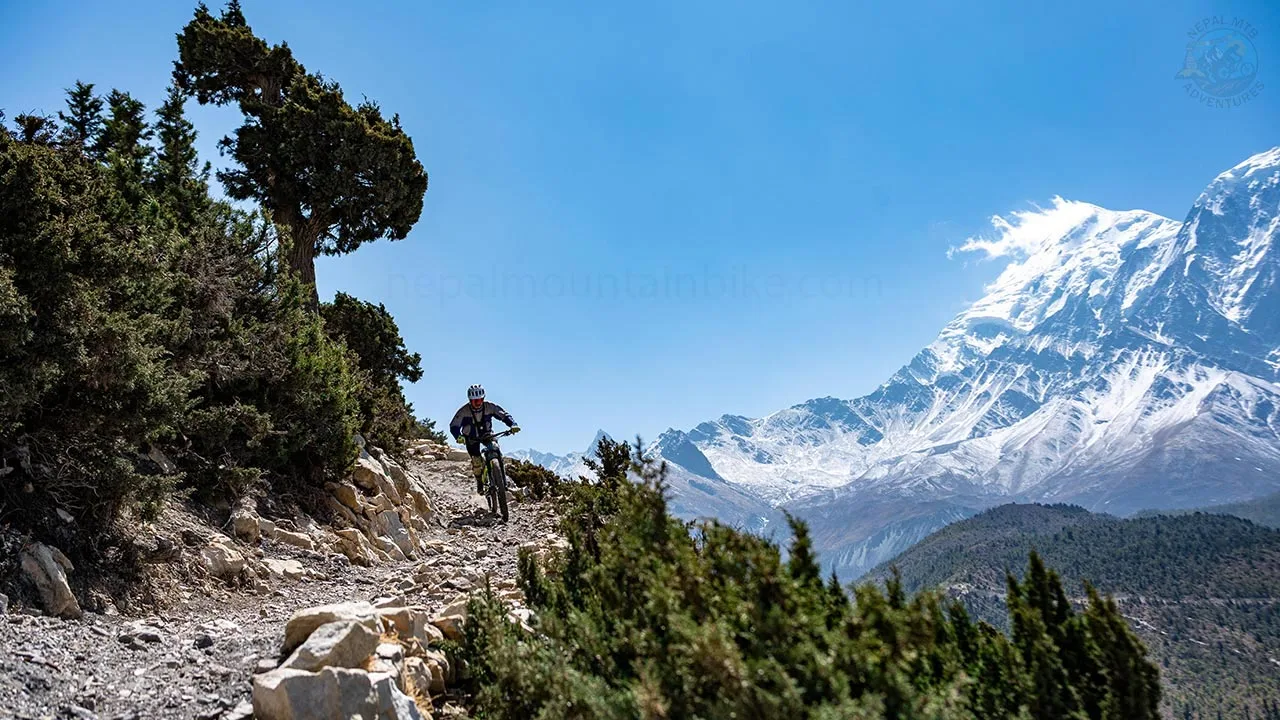 MTB rider descends the Jomsom view point trail during the Mustang Enduro-Downhill trip in N
