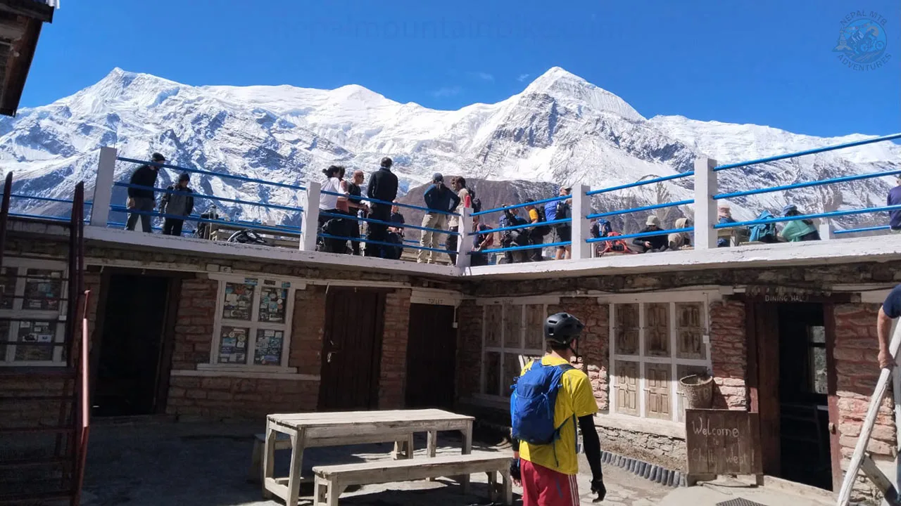 A group of people enjoying the view of Annapurna III and Gangapurna mountain during their tour in the Annapurna.