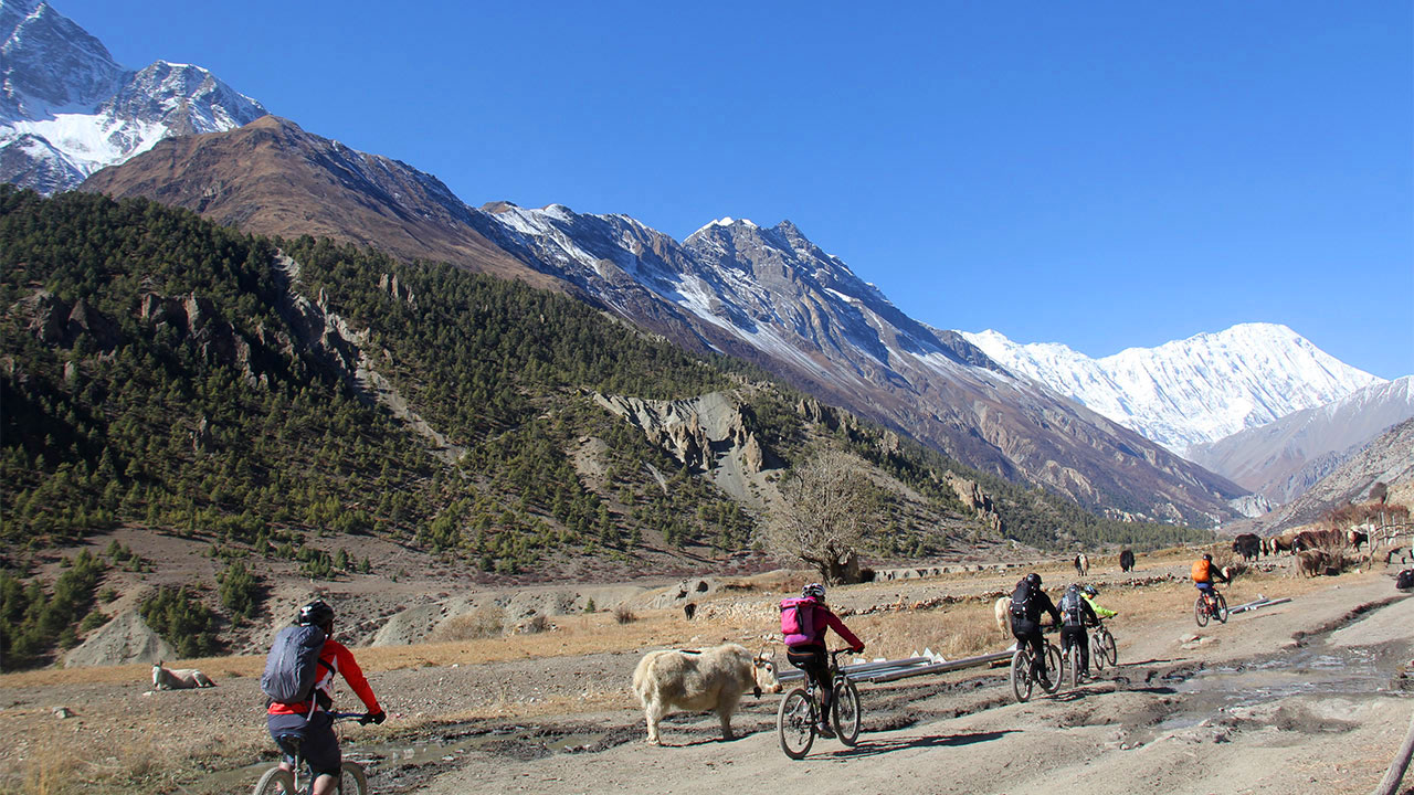 Tilicho Lake Mountain Biking and Hiking Expedition: Team Australia