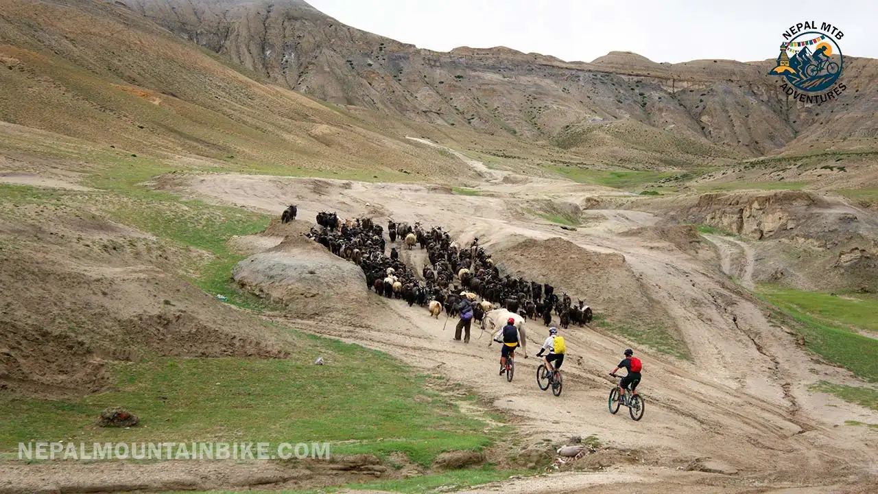 Upper Mustang Mountain Biking Tour 2026-2027 in Nepal – 15 Days Package