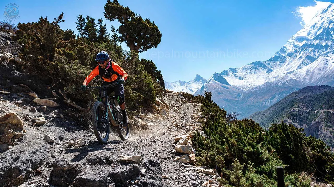 A mountain biker shredding the epic single track in Mustang with the view of the Himalayas during the Enduro MTB Tour in Nepal.