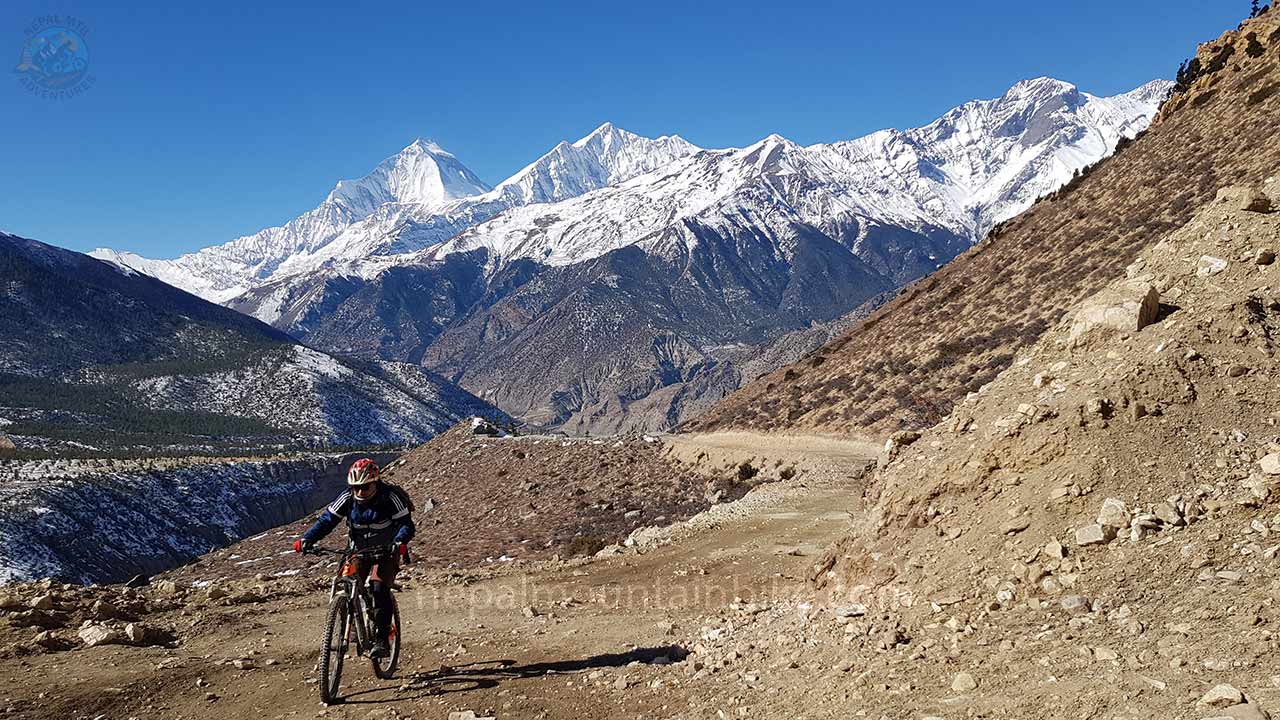A mountain biker pedals through the rugged terrain of Mustang with the backdrop of Dhaulagiri during Nepal's Cross-Country MTB tour with Nepal MTB Adventure.