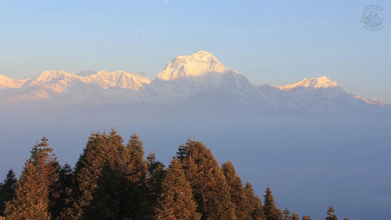 Incredible view of Dhaulagiri mountain range captured from Ghorepani, Poonhill.