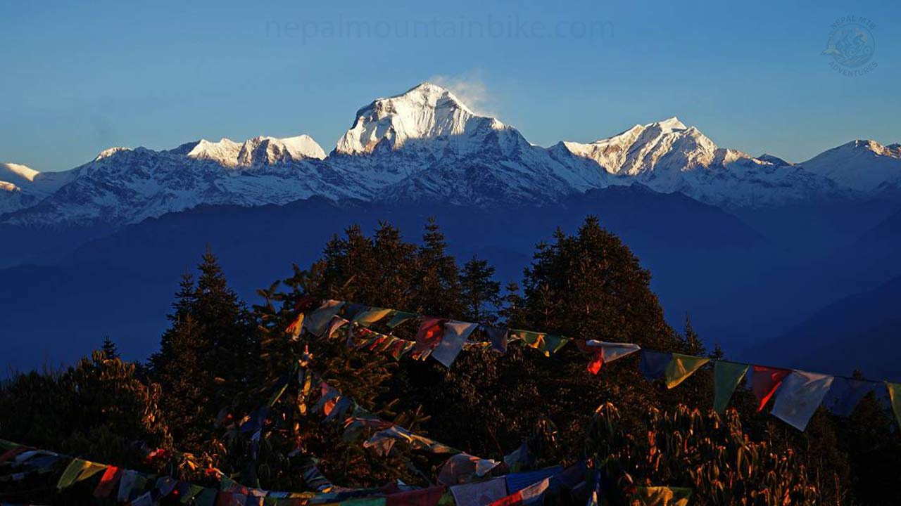 Ghorepani-Poonhill Trek